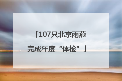 107只北京雨燕完成年度“体检”