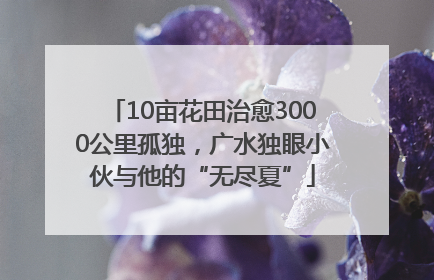 10亩花田治愈3000公里孤独，广水独眼小伙与他的“无尽夏”