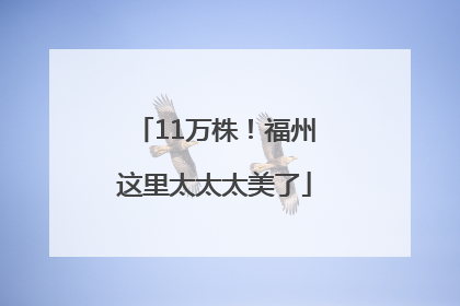 11万株！福州这里太太太美了