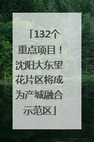 132个重点项目！沈阳大东望花片区将成为产城融合示范区