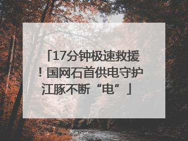 17分钟极速救援！国网石首供电守护江豚不断“电”
