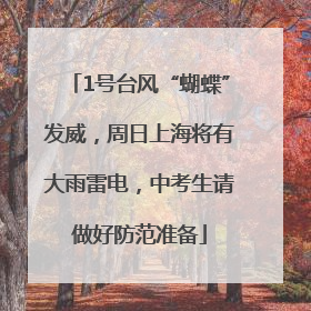 1号台风“蝴蝶”发威，周日上海将有大雨雷电，中考生请做好防范准备