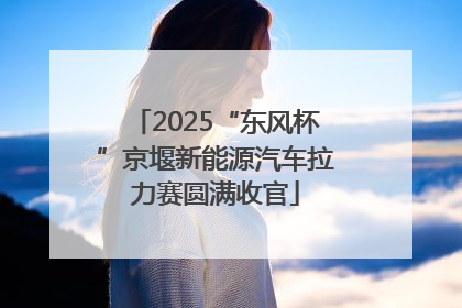2025“东风杯”京堰新能源汽车拉力赛圆满收官