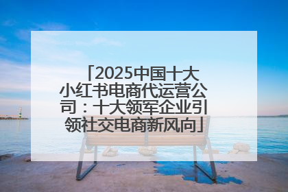 2025中国十大小红书电商代运营公司：十大领军企业引领社交电商新风向