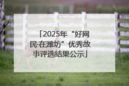 2025年“好网民·在潍坊”优秀故事评选结果公示