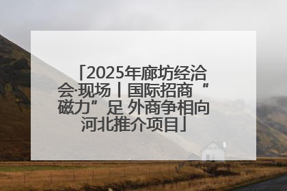 2025年廊坊经洽会·现场丨国际招商“磁力”足 外商争相向河北推介项目