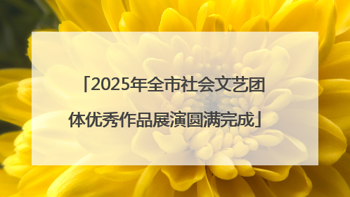 2025年全市社会文艺团体优秀作品展演圆满完成