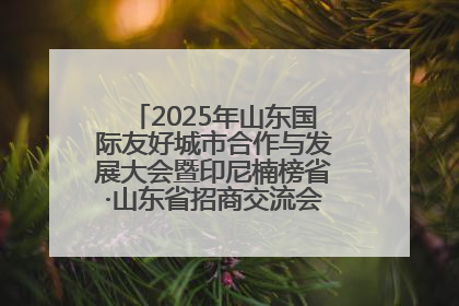 2025年山东国际友好城市合作与发展大会暨印尼楠榜省·山东省招商交流会在济南槐荫举行