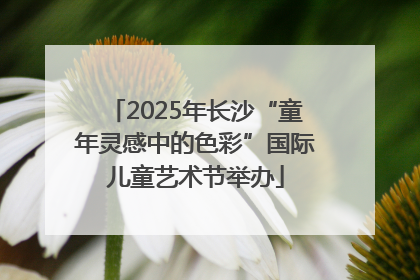 2025年长沙“童年灵感中的色彩”国际儿童艺术节举办