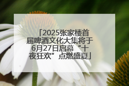 2025张家楼首届啤酒文化大集将于6月27日启幕“十夜狂欢”点燃盛夏