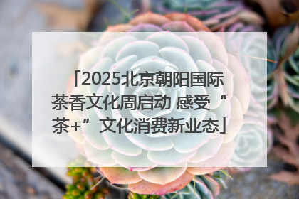 2025北京朝阳国际茶香文化周启动 感受“茶+”文化消费新业态