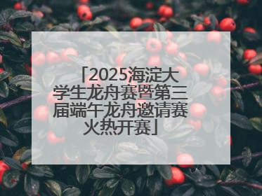 2025海淀大学生龙舟赛暨第三届端午龙舟邀请赛火热开赛