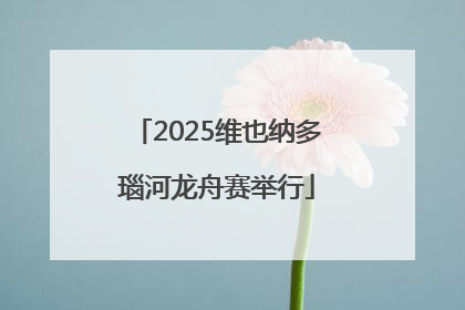 2025维也纳多瑙河龙舟赛举行