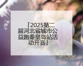 2025第二届河北省城市公益跑秦皇岛站活动开赛