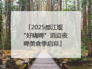 2025都江堰“好嗨啤”消夏夜啤美食季启幕