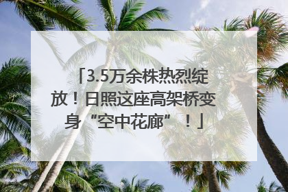 3.5万余株热烈绽放！日照这座高架桥变身“空中花廊”！