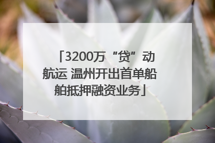 3200万“贷”动航运 温州开出首单船舶抵押融资业务