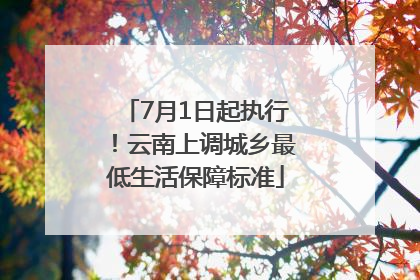 7月1日起执行！云南上调城乡最低生活保障标准