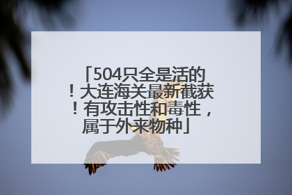 504只全是活的！大连海关最新截获！有攻击性和毒性，属于外来物种