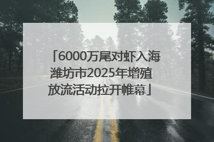 6000万尾对虾入海 潍坊市2025年增殖放流活动拉开帷幕