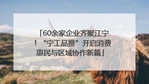 60余家企业齐聚江宁！“宁工品推”开启消费惠民与区域协作新篇