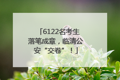 6122名考生落笔成章，临清公安“交卷”！