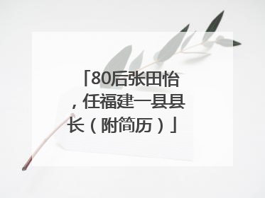 80后张田怡，任福建一县县长（附简历）