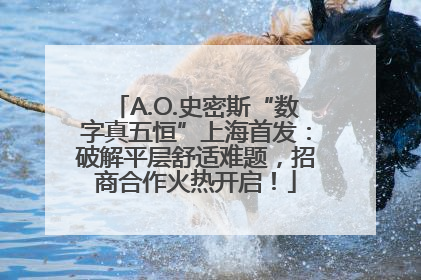 A.O.史密斯“数字真五恒”上海首发：破解平层舒适难题，招商合作火热开启！