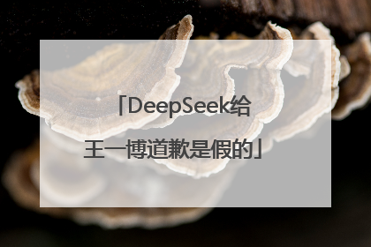 DeepSeek给王一博道歉是假的